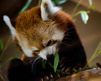 https://images.plurk.com/mlcsdNizRx2T2htsCzCS.jpg