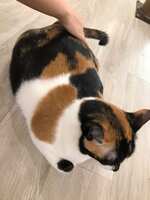 https://images.plurk.com/mrlE1QBKKOTmK03TMCffj.jpg
