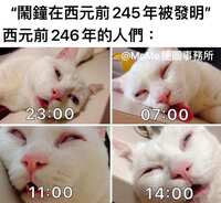https://images.plurk.com/msMop5Tmt4sou8wWCPg1E.jpg