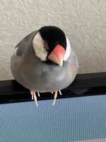 https://images.plurk.com/mvFDWs4JFbB688uFL86I3.jpg