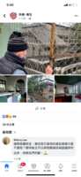https://images.plurk.com/my1UbUHNyFr07BjVYUB7V.png
