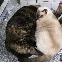 https://images.plurk.com/my1WpYGCIfAF8u2TJAWGA.jpg