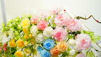 https://images.plurk.com/n53mZ9BTtDc4xDQevMTQP.jpg