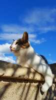 https://images.plurk.com/n7wleHtjTMvcC5bc45CQ4.jpg
