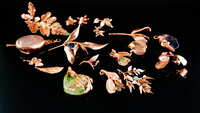 https://images.plurk.com/n8nPMP9fSsH6r9ibdtgoD.jpg