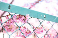 https://images.plurk.com/nChqxhYIsHuElMBS3UPF4.jpg