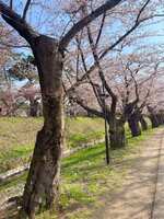 https://images.plurk.com/nCoFj4OuY0GtGbA2PWR0a.jpg