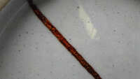 https://images.plurk.com/nH0O08p2EbQD2vMZf2Mnk.jpg