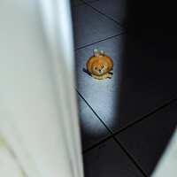 https://images.plurk.com/nOH46kCd0bejUGokuGmNe.jpg