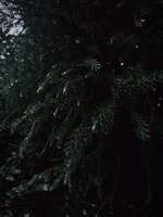 https://images.plurk.com/nSm08bp20LLqPoDVclmL7.jpg