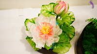 https://images.plurk.com/nljPtA7GDXdRERPt9u4gN.jpg