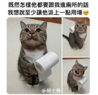 https://images.plurk.com/nmuYj2uu39XXoVXdG910T.png