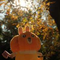 https://images.plurk.com/nmwGWp1AQCMbTxD7E0po6.jpg