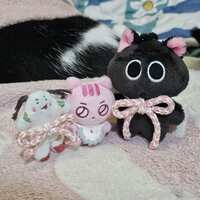 https://images.plurk.com/nsbCDa9KUGkiUU33mQPaG.jpg