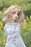 https://images.plurk.com/nwVh6Qi6iH7axyaeWSvDz.jpg