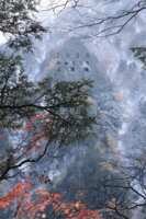 https://images.plurk.com/o2imZikOb74mlw0u52yQ3.png
