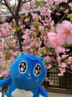 https://images.plurk.com/o8y66SCgDtFFqfMGszEhL.jpg