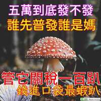 https://images.plurk.com/o9rm9EPYbjhYMZ3g5Qygx.png
