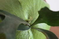 https://images.plurk.com/oFtcGXTn0xNgLwQMGhGAl.jpg