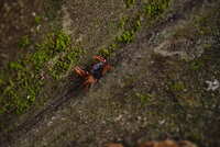 https://images.plurk.com/oH2O6LhtSF2pH4r5ayLoF.jpg