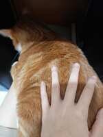 https://images.plurk.com/oKS4uWpL00rXrJ9X3xjhM.jpg