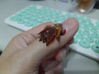 https://images.plurk.com/oiH2cbV4O5SiiWafUVQ5G.jpg