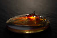 https://images.plurk.com/omncAxZtoL3k8HVNXIuOn.jpg