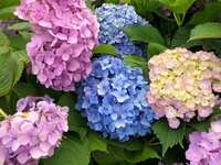 https://images.plurk.com/oybmWRX0u9G7cuC0CUouR.jpg