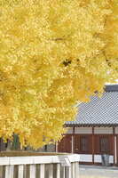 https://images.plurk.com/p2lStpZgGgxR3KyHTwySr.jpg
