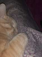 https://images.plurk.com/p4DqPGi3JSH5WeftluMzU.jpg
