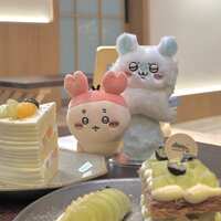 https://images.plurk.com/p8nh07EungYIXFc6SDJCN.jpg