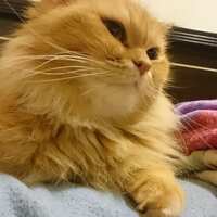 https://images.plurk.com/pC0bUktWY6CcNChYgWlCW.jpg