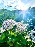 https://images.plurk.com/pGQnERyNYfqAvO156aLHQ.jpg