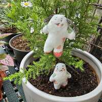 https://images.plurk.com/pHAH7Sh2UdVmjO9Tz9Xxv.jpg