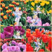 https://images.plurk.com/pHNZM9NVQJxnYIGTM83Jf.jpg