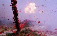 https://images.plurk.com/pKRcomF3qQ9pMcmdZaGX.png