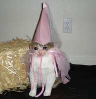 https://images.plurk.com/pVsi9qp7LWYyR5b1OlcEy.jpg