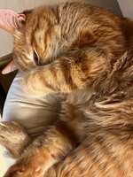 https://images.plurk.com/pXYa4sD1u8cBZiMoeRLlT.jpg