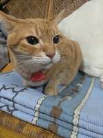 https://images.plurk.com/pewPLat8al0drNPKU88Av.jpg