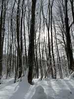 https://images.plurk.com/pmnsk0Z95EXvXtbphoe1q.jpg