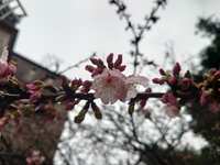 https://images.plurk.com/pptIDKf6iyxz6IBJZqo9J.jpg
