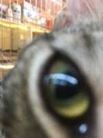 https://images.plurk.com/pweQUAYklXUNfxnAAvQHh.jpg