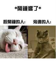 https://images.plurk.com/pzGPCDa8t1632joZg1Kbd.png