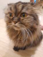 https://images.plurk.com/q0l7bPB6Be5u6wz8LlR4w.jpg