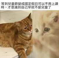 https://images.plurk.com/qR8AKx9uDXgMUUVLDjUo.jpg
