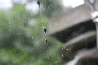 https://images.plurk.com/qRQK94cJvDSfalJ8mhVSf.jpg