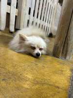 https://images.plurk.com/qRwQJyBLA9Xt4Xha7OhNp.jpg