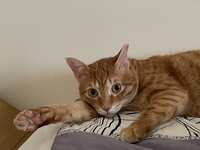 https://images.plurk.com/qTddjdkDekpm4pWaCjxL9.jpg