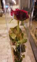 https://images.plurk.com/qbmK03IfkCDhXwvlHcCTX.jpg