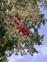 https://images.plurk.com/qg7W64idhp7k4Fj6DUYfb.jpg